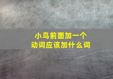 小鸟前面加一个动词应该加什么词