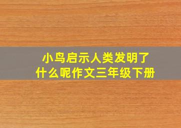 小鸟启示人类发明了什么呢作文三年级下册