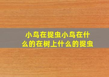 小鸟在捉虫小鸟在什么的在树上什么的捉虫