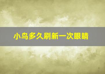 小鸟多久刷新一次眼睛