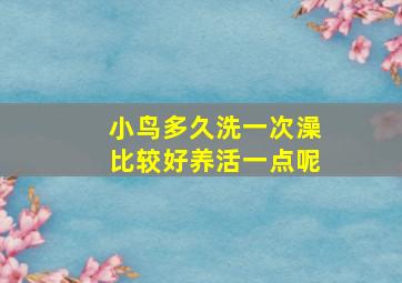 小鸟多久洗一次澡比较好养活一点呢