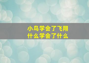 小鸟学会了飞翔什么学会了什么