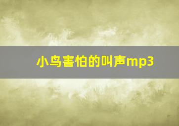 小鸟害怕的叫声mp3