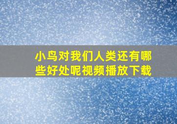 小鸟对我们人类还有哪些好处呢视频播放下载