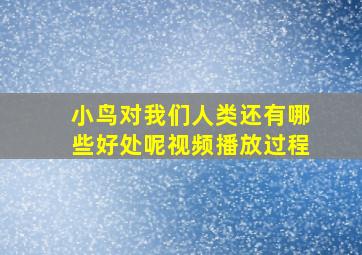 小鸟对我们人类还有哪些好处呢视频播放过程