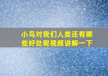 小鸟对我们人类还有哪些好处呢视频讲解一下