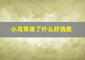 小鸟带来了什么好消息