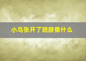 小鸟张开了翅膀像什么