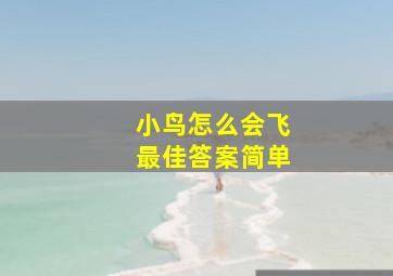 小鸟怎么会飞最佳答案简单