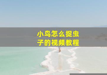 小鸟怎么捉虫子的视频教程