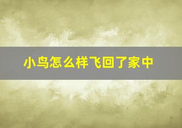 小鸟怎么样飞回了家中