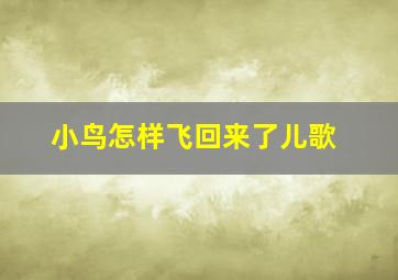 小鸟怎样飞回来了儿歌