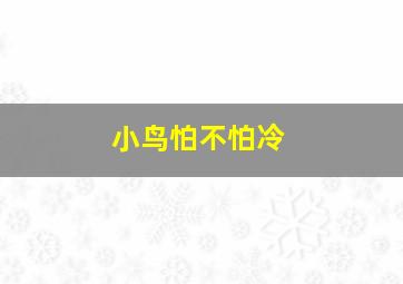 小鸟怕不怕冷