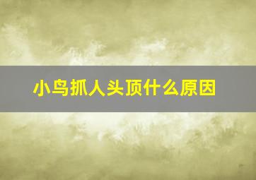 小鸟抓人头顶什么原因