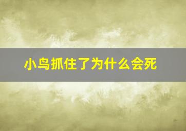 小鸟抓住了为什么会死