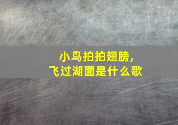 小鸟拍拍翅膀,飞过湖面是什么歌