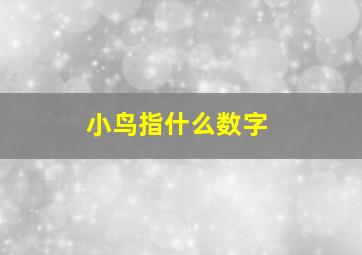 小鸟指什么数字