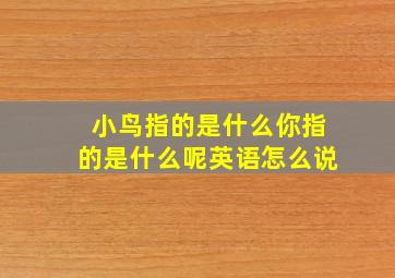 小鸟指的是什么你指的是什么呢英语怎么说