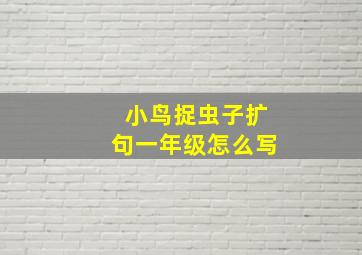 小鸟捉虫子扩句一年级怎么写