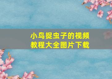 小鸟捉虫子的视频教程大全图片下载