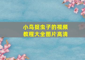 小鸟捉虫子的视频教程大全图片高清