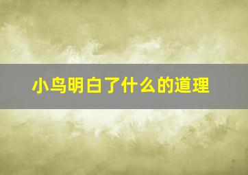 小鸟明白了什么的道理