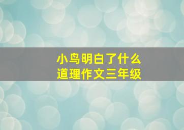 小鸟明白了什么道理作文三年级