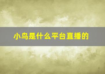 小鸟是什么平台直播的