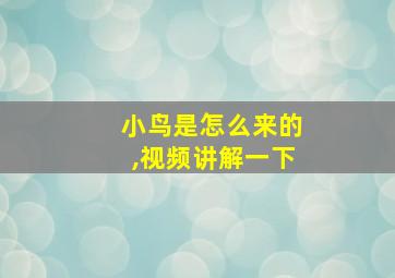 小鸟是怎么来的,视频讲解一下