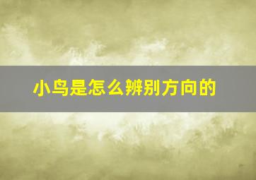 小鸟是怎么辨别方向的