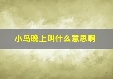 小鸟晚上叫什么意思啊