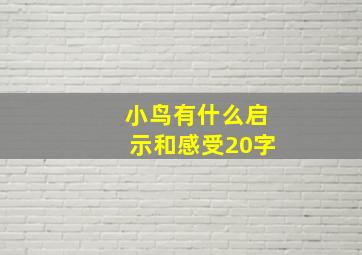 小鸟有什么启示和感受20字