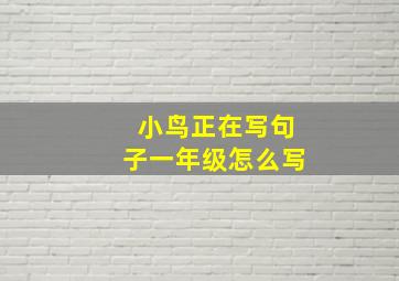 小鸟正在写句子一年级怎么写