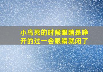 小鸟死的时候眼睛是睁开的过一会眼睛就闭了