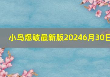 小鸟爆破最新版20246月30日