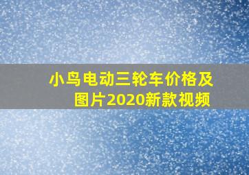 小鸟电动三轮车价格及图片2020新款视频