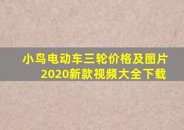 小鸟电动车三轮价格及图片2020新款视频大全下载