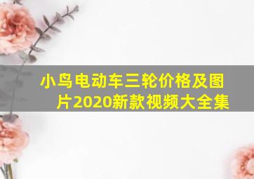 小鸟电动车三轮价格及图片2020新款视频大全集