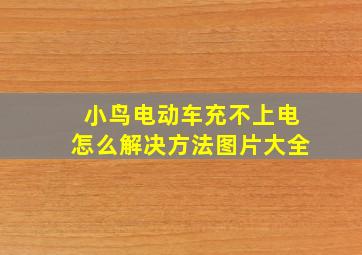 小鸟电动车充不上电怎么解决方法图片大全