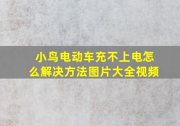 小鸟电动车充不上电怎么解决方法图片大全视频