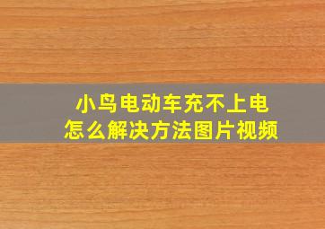 小鸟电动车充不上电怎么解决方法图片视频