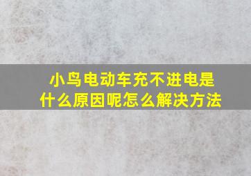 小鸟电动车充不进电是什么原因呢怎么解决方法