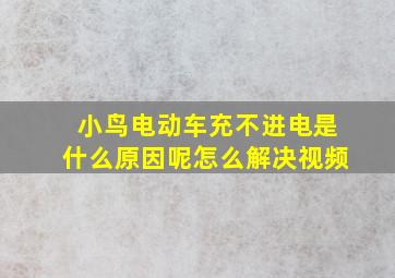 小鸟电动车充不进电是什么原因呢怎么解决视频