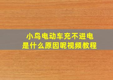 小鸟电动车充不进电是什么原因呢视频教程