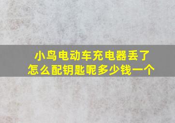 小鸟电动车充电器丢了怎么配钥匙呢多少钱一个