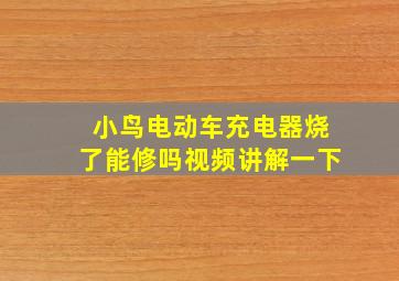 小鸟电动车充电器烧了能修吗视频讲解一下