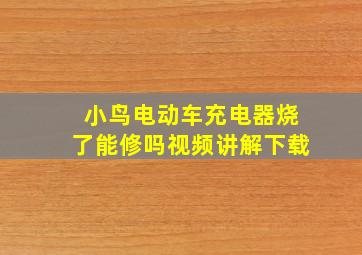 小鸟电动车充电器烧了能修吗视频讲解下载