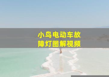 小鸟电动车故障灯图解视频