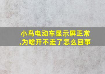 小鸟电动车显示屏正常,为啥开不走了怎么回事