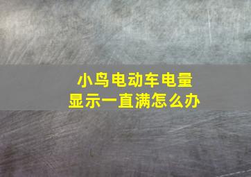 小鸟电动车电量显示一直满怎么办